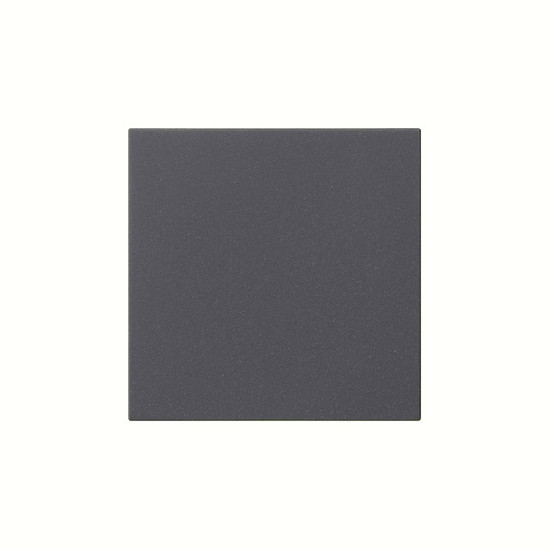 Gira 537228 Wippe 1-fach unbedruckt System 55 Anthrazit