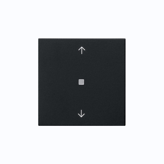 Gira 5382005 S3000 BedienAufsatz Bluetooth Pfeile System 55 Schwarz m