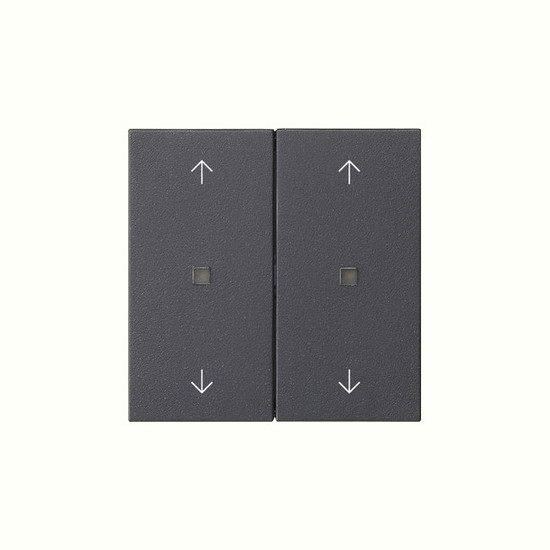Gira 538628 Wippe 2-fach Pfeile Kontrollfür System 55 Anthrazit