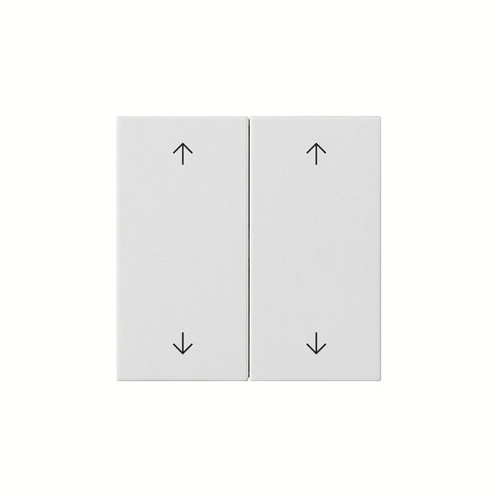 Gira 538727 Wippe 2-fach Pfeile System 55 Reinweiß m