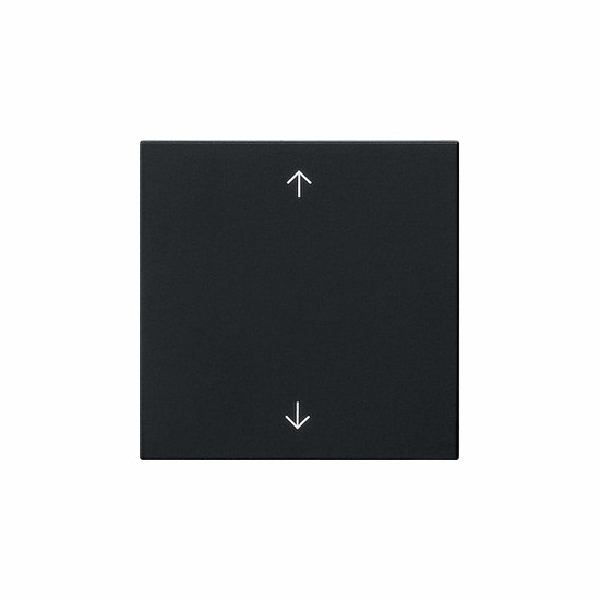 Gira 5389005 Wippe 1-fach Pfeile System 55 Schwarz m