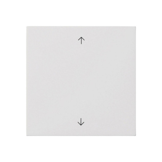 Gira 5389112 Wippe 1-fach Pfeile Flächenschalter Reinweiß
