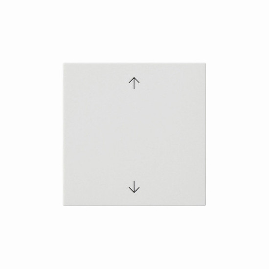 Gira 538927 Wippe 1-fach Pfeile System 55 Reinweiß m