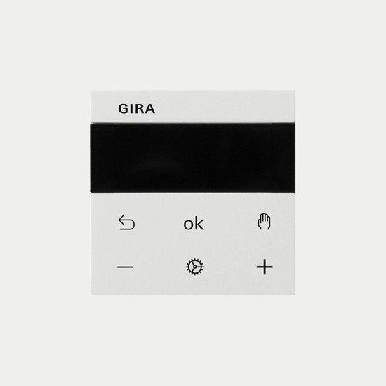 Gira 539303 S3000 RTR Display System 55 Reinweiß