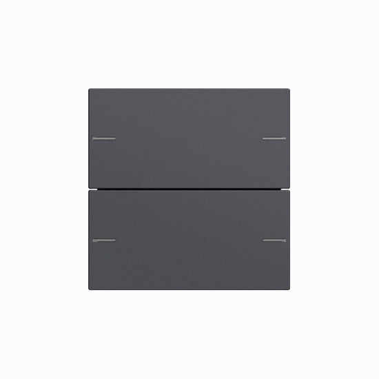 Gira 575228 Wippenset 2-fach Tastsensensor 4.55 Anthrazit