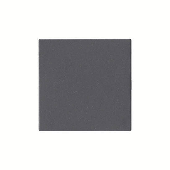 Gira 810828 BlindAbdeckung o.Tragring System 55 Anthrazit