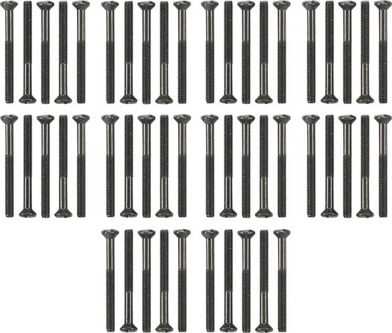 Gira 818100 Set Linsenkopfschrauben 50 Stck. WG AP