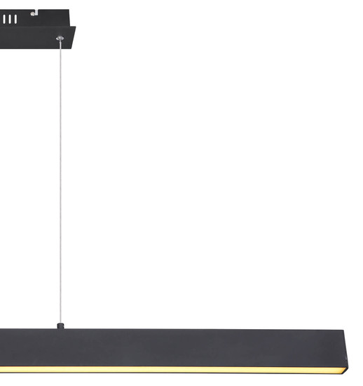 Globo Verena LED Hängeleuchte 40W Warmweiß Schwarz Matt, Metall Memoryfunktion 120cm 17006S