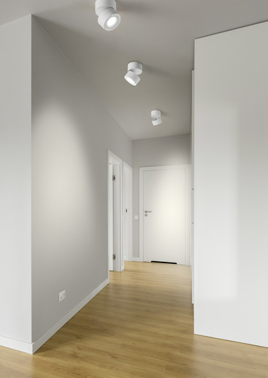Helestra NAKA LED Deckenleuchte 9W dimmbar 90Ra Warmweiss Mattschwarz 5-5004.22