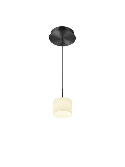 Hell Abby LED Pendelleuchte Warmweiss Dimmbar höhenverstellbar +FB Anthrazit 20659/1-39