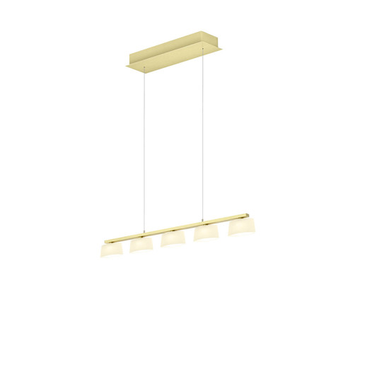 Hell View LED Pendelleuchte 5-fach steuerbare Lichtfarbe Dimmbar 60-180cm >90Ra Champagner 20700/5-42