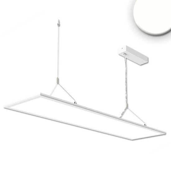 ISOLED LED Office Hängeleuchte Up+Down, 20+20W, 30x120cm, weiß, UGR<19, 4000K, dimmbar