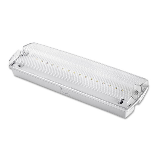 ISOLED LED Notlicht/Fluchtwegleuchte UNI4 Autotest 4W, IP65, X0AEFG180