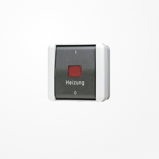 Jung 802HW Heizungsschalter, Aus 2-pol.,  AX 250 V ~, IP 44, WG 800