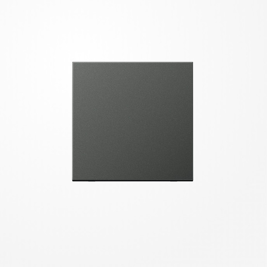 Jung AL2990AN Wippe, Aluminium lackiert, Serie LS, anthrazit