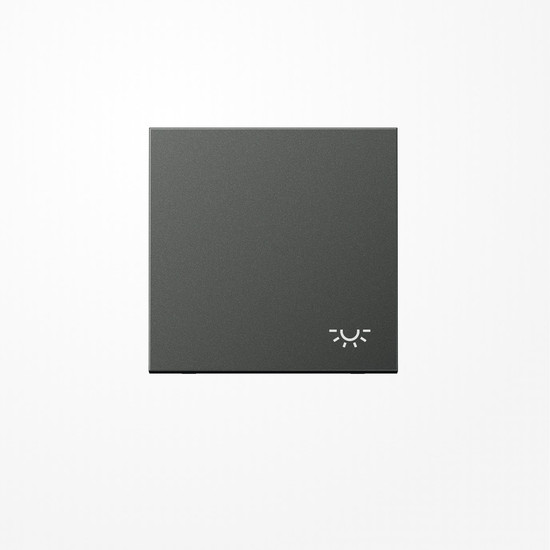Jung AL2990LAN Wippe, Symbol Licht, Aluminium lackiert, Serie LS, anthrazit