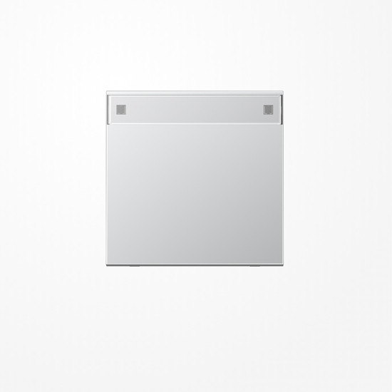 Jung AL2990NA Wippe, mit Schriftfeld, Serie LS, Aluminium