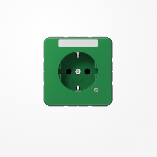 Jung CD1520BFNAKOGN SCHUKO-Steckdose, 16 A 250 V ~, mit Funktionsanzeige, mit Schriftfeld, SAFETY+, Thermoplast, Serie CD, grün (für SV)