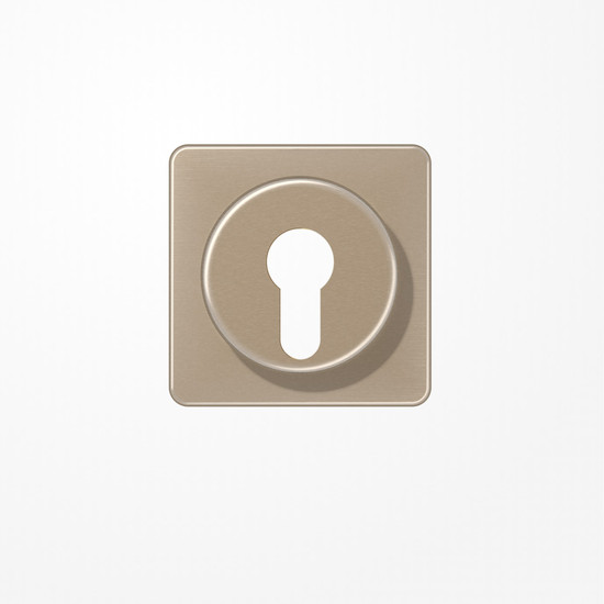 Jung CD528GB Abdeckung für Schlüsselschalter mit Demontageschutz, Aluminium eloxiert, Serie CD, gold-bronze