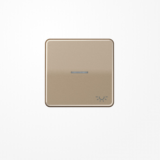 Jung CD590KO5LGB Wippe mit Lichtleiter, Symbol Licht, Aluminium eloxiert, Serie CD, gold-bronze