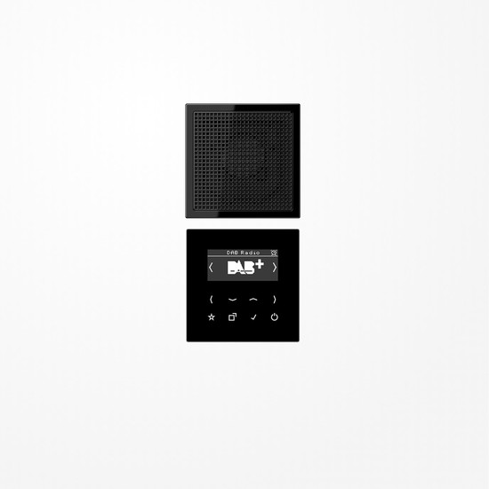 Jung DABLS1SW Smart Radio DAB+, Set Mono, Serie LS, schwarz