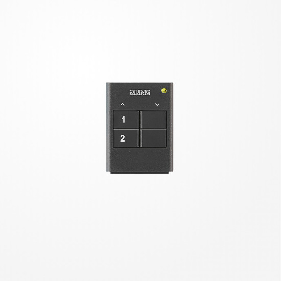 Jung FMHS2 eNet Funk-Handsender, 2fach