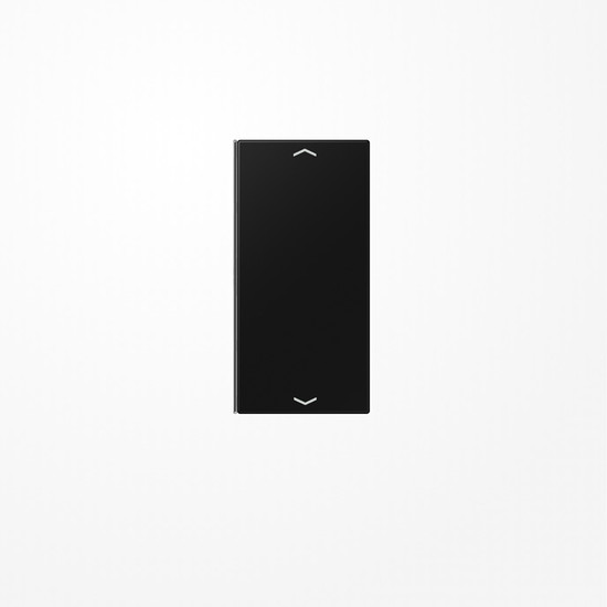 Jung LS402TSAPSWM Taste 2fach, mit Pfeilsymbolen, F40, Serie LS, graphitschwarz matt
