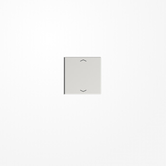 Jung LS404TSAPLG14 Taste 4fach, 1+4, mit Pfeilsymbolen, F40, Serie LS, lichtgrau