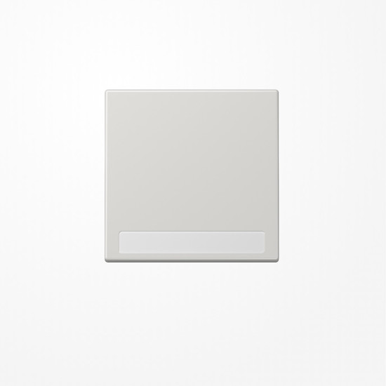 Jung LS990NALG Wippe, mit Schriftfeld, Duroplast, Serie LS, lichtgrau