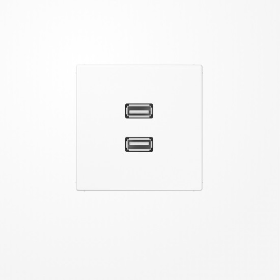 Jung MALS1153WW USB2Punkt0, MultimediaAnschlussystem 2xUSB 2.0, Serie LS, alpinweiß