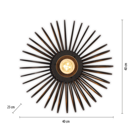 JUST LIGHT RACOON Deckenleuchte E27 max. 40W schwarz 11410-18