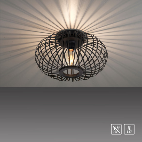 JUST LIGHT RACOON Deckenleuchte E27 max. 40W schwarz 11410-18