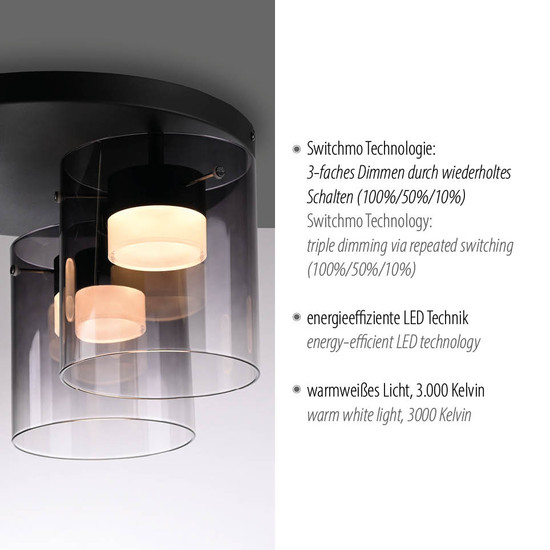 JUST LIGHT ELIO LED Deckenleuchte Warmweiss Dimmbar 22,5W 3-fach schwarz 14041-18