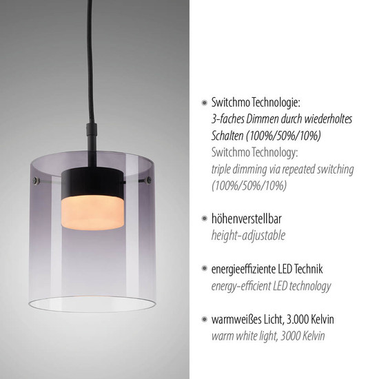 JUST LIGHT ELIO LED Pendelleuchte Warmweiss Dimmbar 7,5W schwarz 14042-18