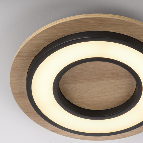 JUST LIGHT TOLA LED Deckenleuchte Warmweiss 16W schwarz 14560-18
