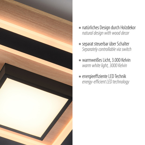 JUST LIGHT TOLA LED Deckenleuchte Warmweiss 26W 2-fach schwarz 14563-18