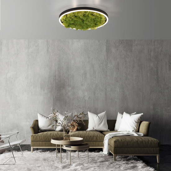 JUST LIGHT GERDA RITUS LED Deckenleuchte Warmweiss Dimmbar 20W moos 15391-66