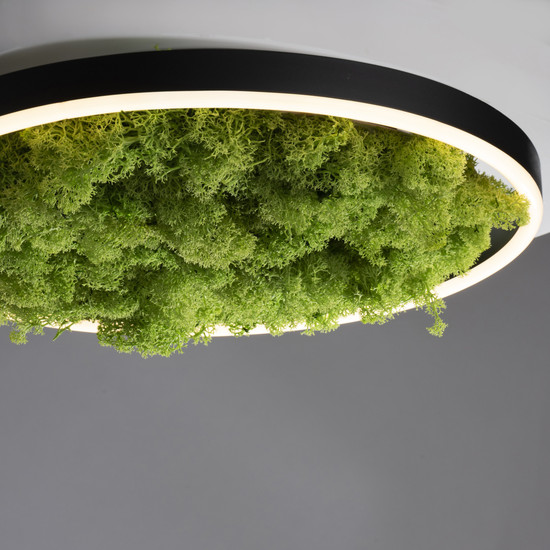 JUST LIGHT GERDA RITUS LED Deckenleuchte Warmweiss Dimmbar 20W moos 15391-66