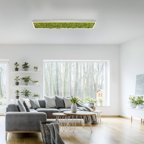 JUST LIGHT GERDA KNUT LED Deckenleuchte Warmweiss Dimmbar 25W moos 15623-66