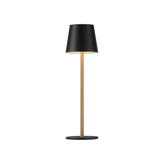 JUST LIGHT EURIA LED AKKU-Tischleuchte Warmweiss Dimmbar 2,5W schwarz/messing IP54 19250-68