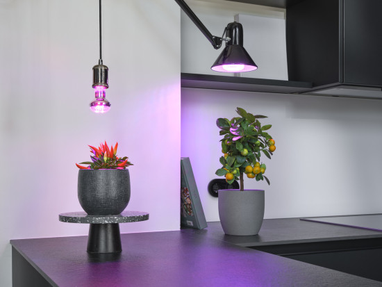 OSRAM LED Leuchtmittel LED STAR GROW T LAMP 10W Clear E27 4058075845787