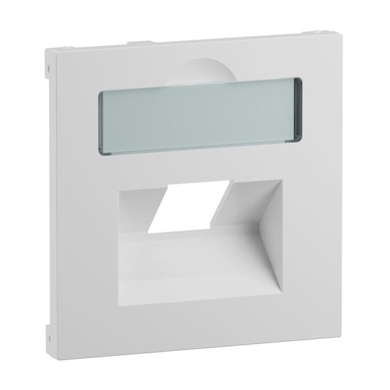 Legrand SEANO Abdeckung 1x RJ45 für Datendosen von Metz, Telegärtner und Rutenbeck, inkl. Beschriftungsfeld, Ultraweiß, 765158