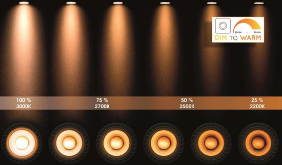Lucide XYRUS LED Deckenleuchte GU10 Dim-to-warm 5W dimmbar 360° drehbar Weiß 95Ra 23954/06/31