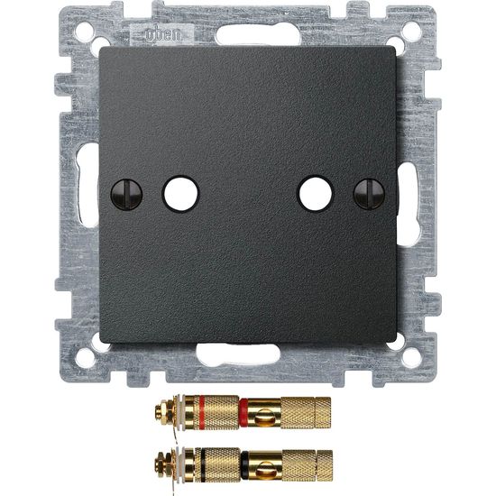 Merten 469314 Zentralplatte mit High-End Lautsprecher-Steckverbinder, anthrazit, System M