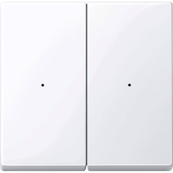 Merten 619225 Wippen für Tastermodul 2fach, aktivweiß glänzend, System M