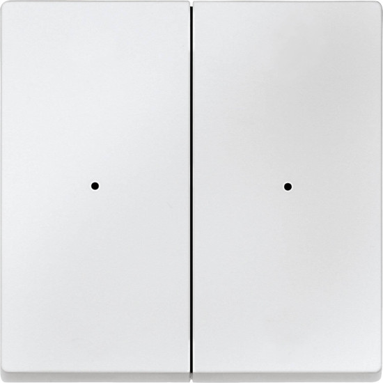 Merten 625219 Wippen für Tastermodul 2fach, polarweiß, System M