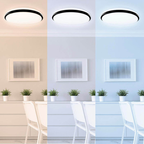 Müller Licht LED Wand- und Deckenleuchte Taro+ 40 21000069