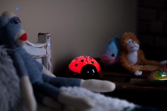 Niermann Beetlestar LED Nachtlicht 1,5W Rot-Schwarz