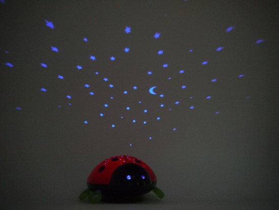 Niermann Beetlestar LED Nachtlicht 1,5W Rot-Schwarz