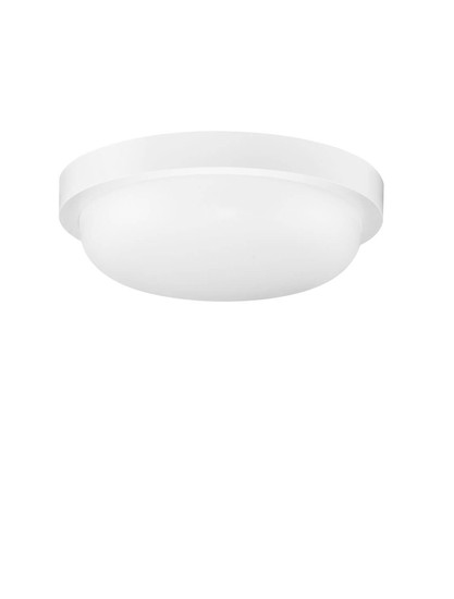 Nova Luce LED Außen-Deckenleuchte Reo 19W warmweiss 3000K IP65 Weiß Ø23,5cm 9030768